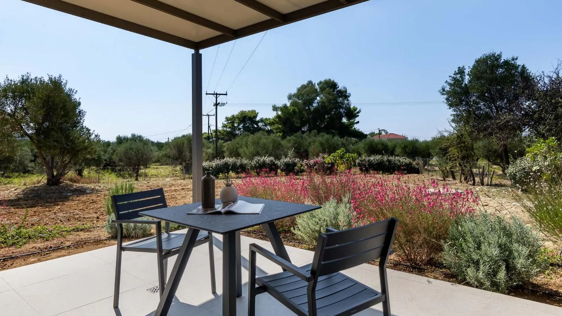 Alekos Beach Houses-Akrotiri Suites Kounopetra Apartment