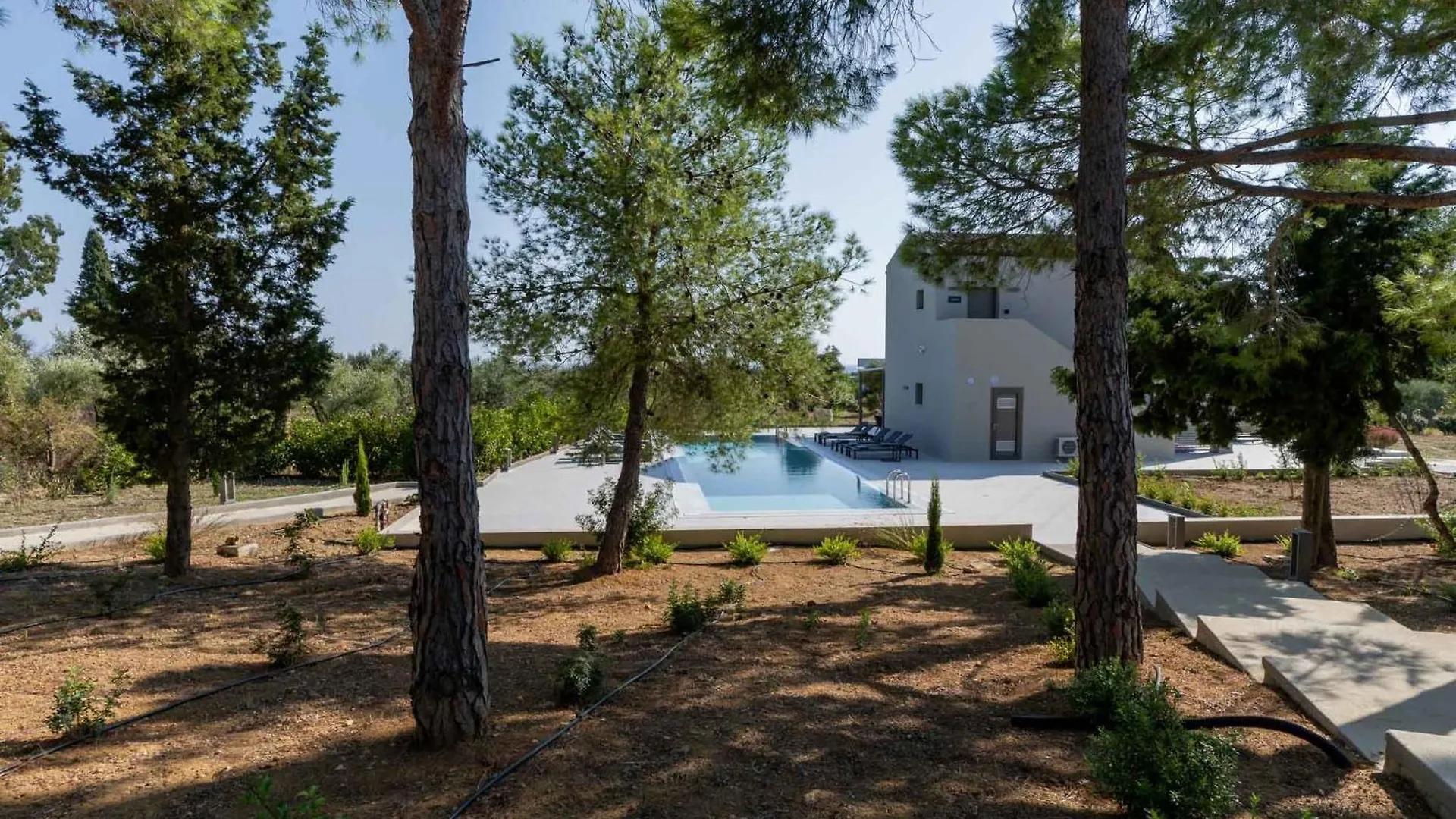 Alekos Beach Houses-Akrotiri Suites Kounopetra Appartamento