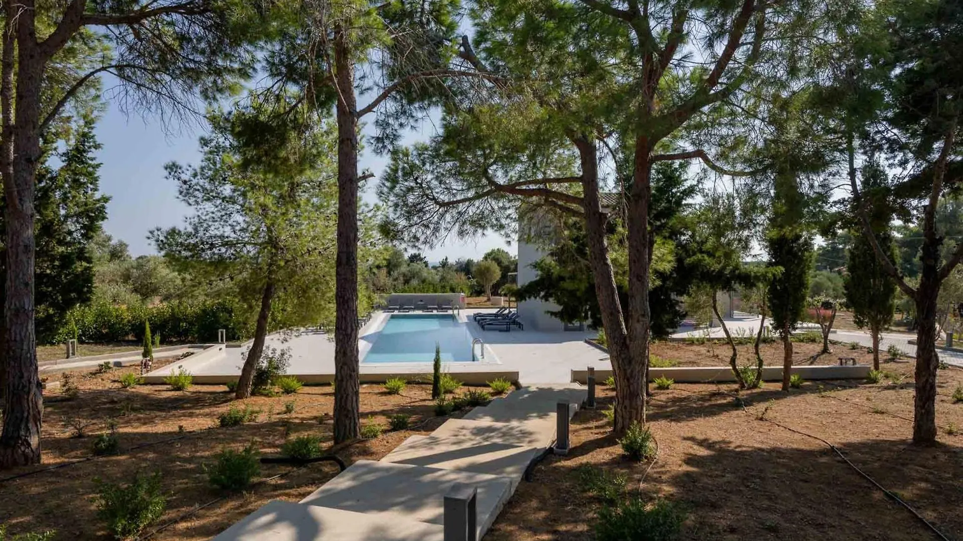 Apartment Alekos Beach Houses-Akrotiri Suites Kounopetra